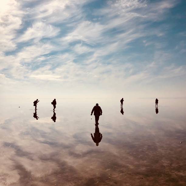 istock Tranquil scene on salt lake, Turkey 1384587530
