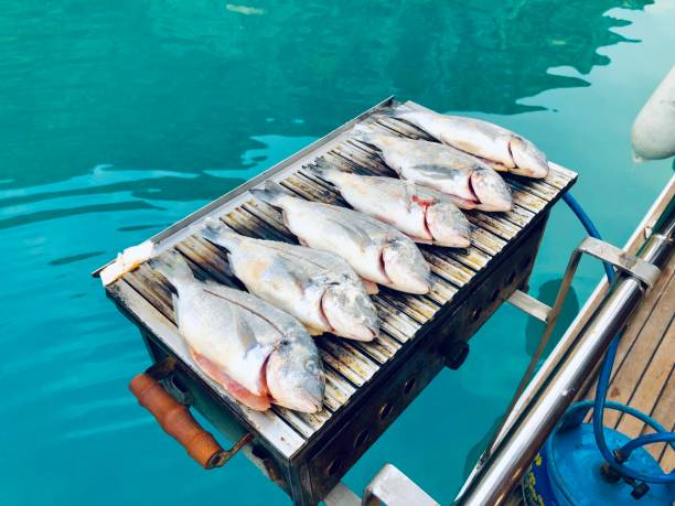 Fish on grill for the dinner on boat ride, Kas, Turkey