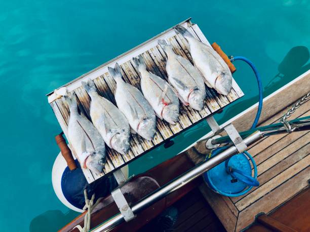 Fish on grill for the dinner on boat ride, Kas, Turkey