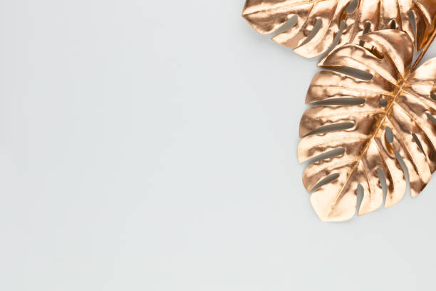 istock Monstera gold leaf on blue background. Palm leaf, Flat lay and top view. 1384591438