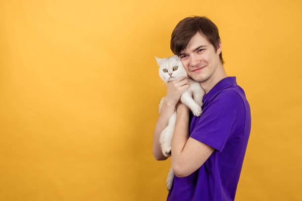 istock A young man on a yellow background hugs a cute white cat, close-up 1384592532