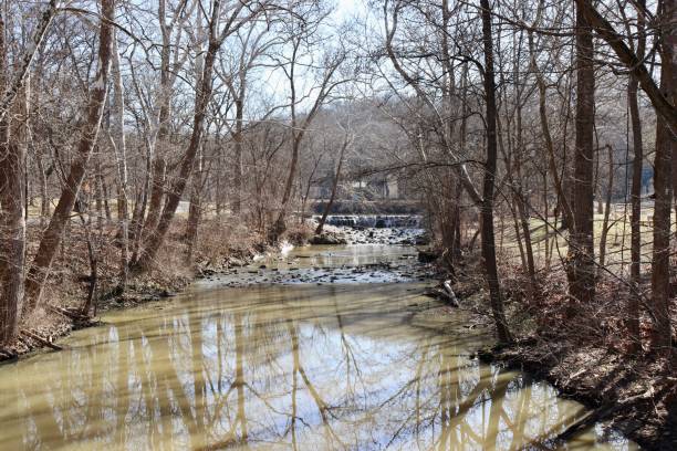 istock Stream in the Winter Forest 1384595418