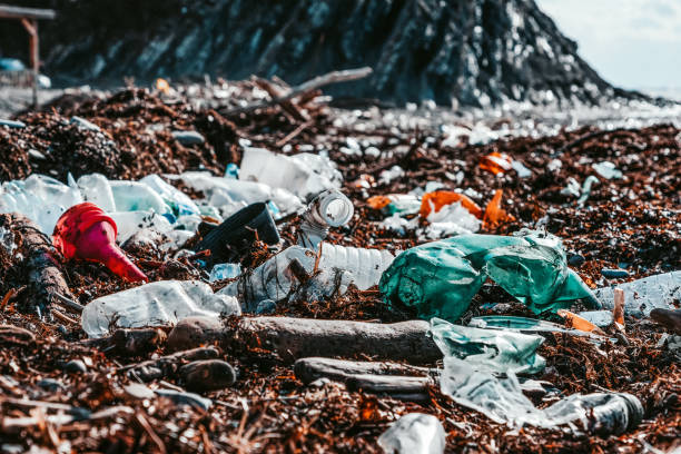 istock Earth Day. Heavily polluted beach. Plastic bottles and garbage on a deserted coast. The concept of ecological disaster and environmental pollution 1384603834