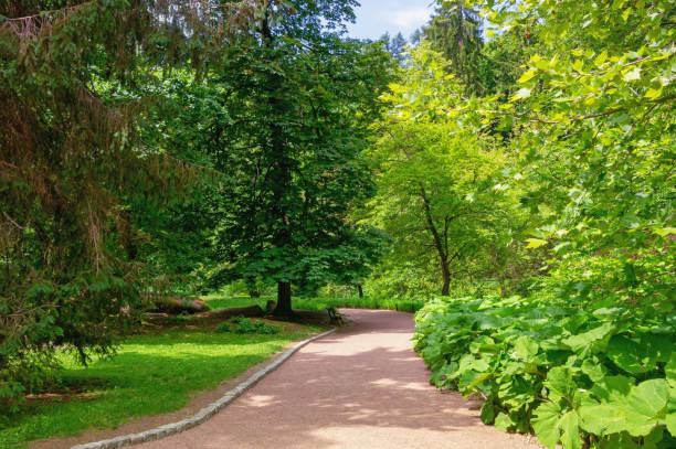 istock Peaceful day. Walking path in park on sunny summer day. Ukraine, Uman, park Sofiyivka 1384613549