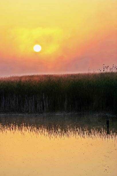 istock early morning in the country side 1384625349