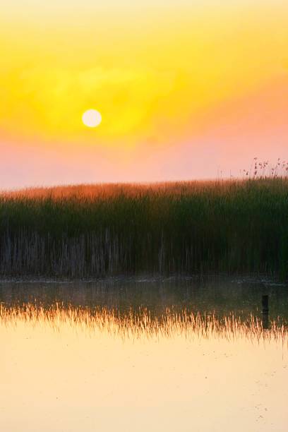 istock early morning in the country side 1384625351