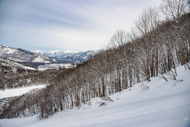 istock Leafless trees on a side of a ski slope 1384625417