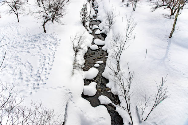 Human footprints near a stream covered by snow. Hakuba, Nagano prefecture.