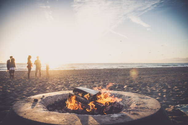 istock Friends partying on the beach 1384625758