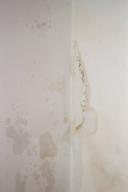 istock Damp patch caused by water ingress coming through the wall. 1384627214