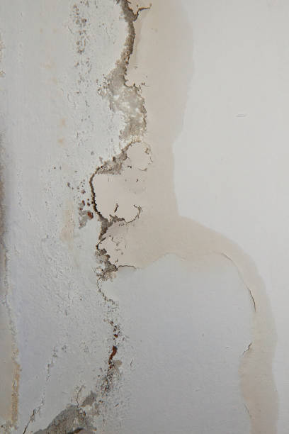 istock Damp patch caused by water ingress coming through the wall. 1384627250
