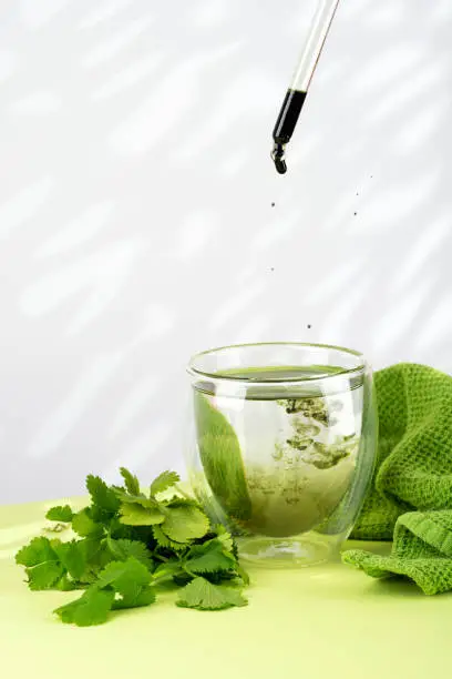Mixing water and liquid chlorophyll with dropper. Fresh herbs and green towel on a table. Concept of superfood, healthy eating, detox and diet. White sunlight background. copy space