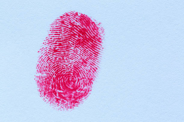 istock Red fingerprint on white paper 1384637417