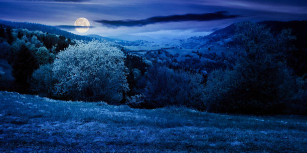 istock beautiful nature scenery in spring at night 1384639129