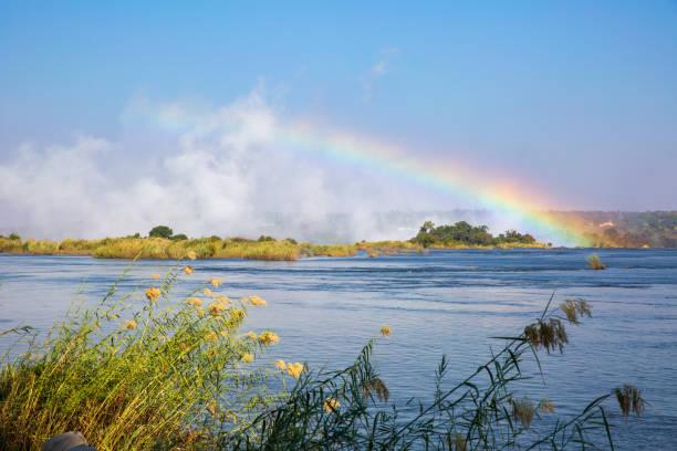 vista panorámica de un arco iris en la isla de livingstone, zambia - livingstone island fotografías e imágenes de stock