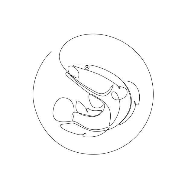 Continuous single line drawing, giant snake head fish or channa, simple concept for hobby and t-shirt printing. vector illustration. Continuous single line drawing, giant snake head fish or channa, simple concept for hobby and t-shirt printing. vector illustration. giant snakehead stock illustrations