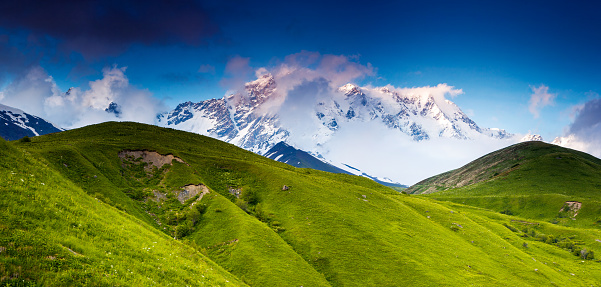 Beautiful alpine meadows at the foot of Mt. Shkhara. Dramatic overcast sky. Upper Svaneti, Georgia, Europe. Caucasus mountains. Beauty world.