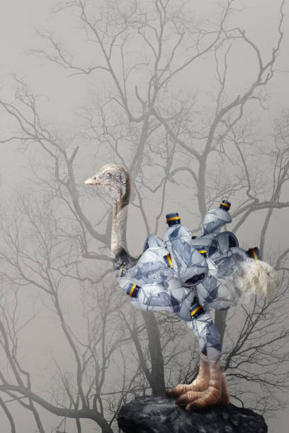 istock Creative double exposure of ostrich  (toy model) with used  plastic bags,arid landscape. 1384646854