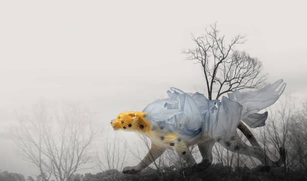 Creative double exposure of bear (toy model) with used  plastic bags,arid landscape.