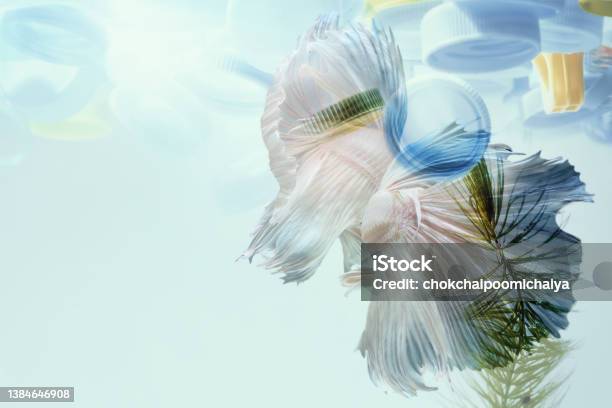 Creative Double Exposure Of Bear With Used Plastic Bagsarid Landscape Stock Photo - Download Image Now
