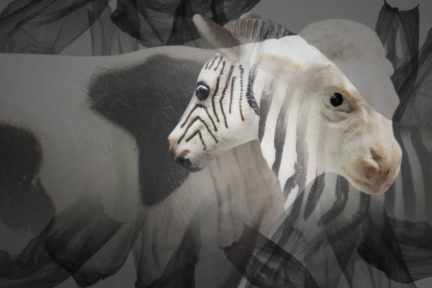 Creative double exposure of zebra and cow (toy model) with used  plastic bags.Concept background for environmentalism and plastic awareness.
