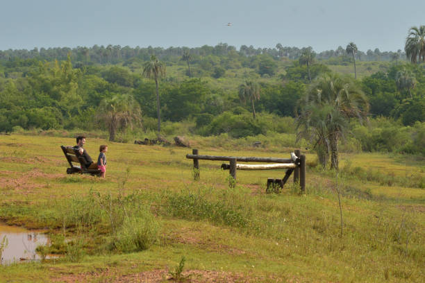 Tropical landscape