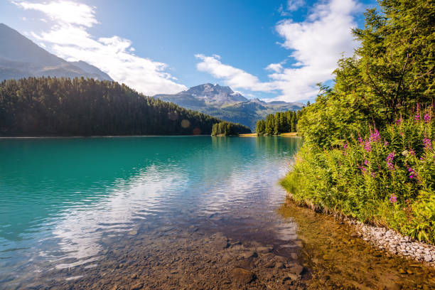 gran vista del estanque azul champfer. ubicación alpes suizos, pueblo de silvaplana, distrito de maloja, europa. - champfer fotografías e imágenes de stock