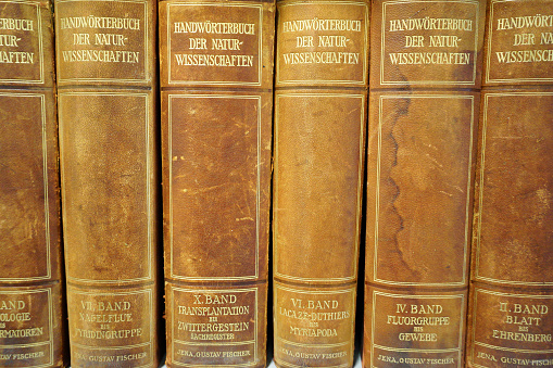 A collection of old law records.