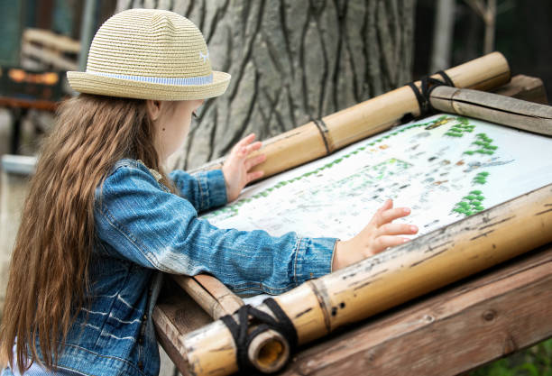 little girl on a walk in the park studying the diagram stock photo