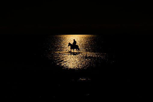 adam tuz gölünde at koşturuyor. gün batımında suyun içinde koşan at. full frame makine ile çekilmiştir.