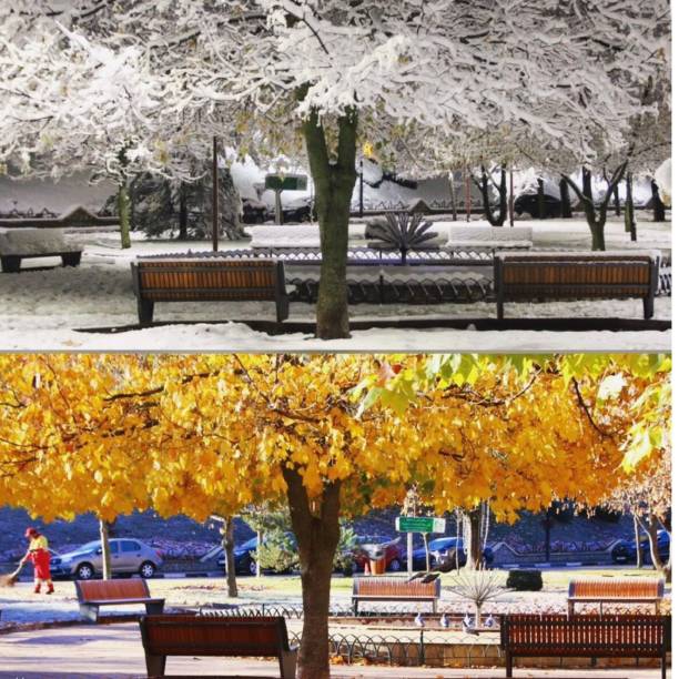 istock Autumn winter garden picture 1384654907