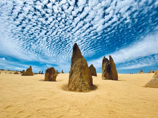 rocas en forma de lanza bajo un cielo dramático, pinnacles, australia - nambung national park fotografías e imágenes de stock