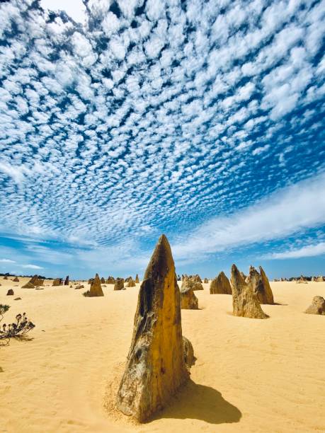 rocas en forma de lanza bajo un cielo dramático, pinnacles, australia - nambung national park fotografías e imágenes de stock