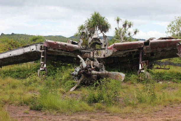 istock Crash site of a WW2 fighter plane 1384665386