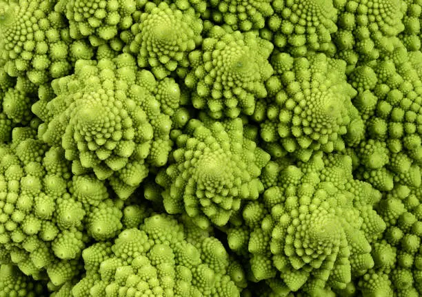 Romanesco cauliflower fibonacci pattern macro background