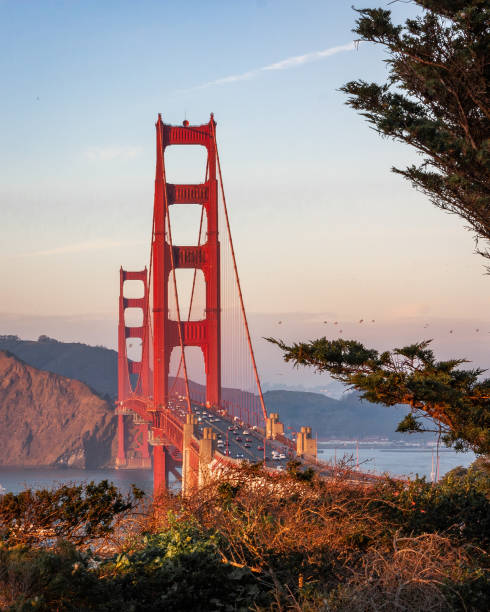 Golden Gate Bridge view from Marshall's Beach Parking Lot Taken on top of Battery Godfrey san francisco bay stock pictures, royalty-free photos & images