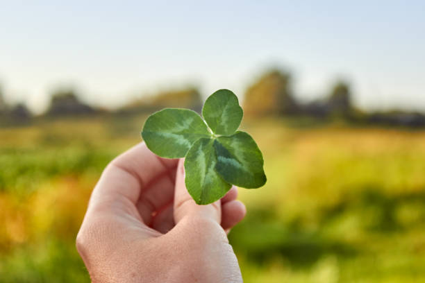 istock symbol of good luck 1384673027