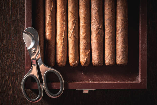 istock Expensive and handmade cigar with guillotine cuts off cigar tip. 1384673306