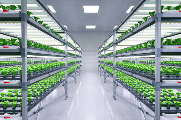 istock indoor farm system raised plants on shelves growth with led light 1384673511