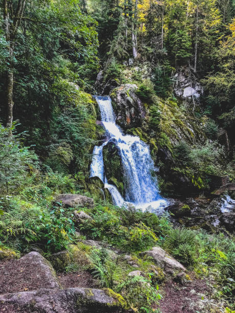 istock A small stony river with waterfalls in the Black Forest. 1384685687