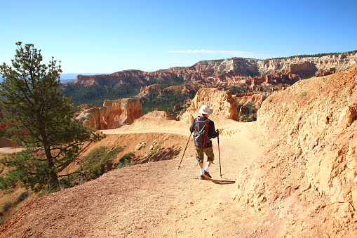 Queen's garden trail at Bryce Canyon National Park.\nUtah, USA