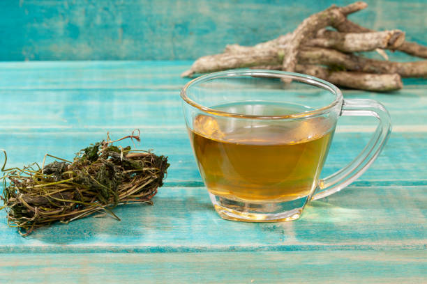 istock Valeriana Officinalis - Valerian Tea Medicinal Plant 1384694069