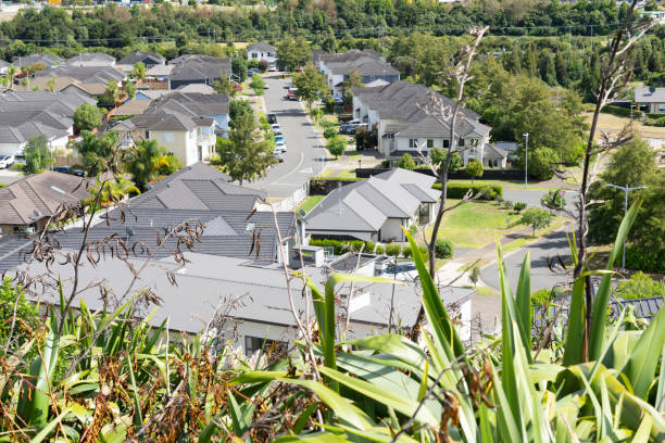 istock Rooftops of residential area 1384695901