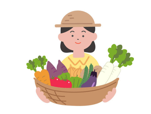 illustrations, cliparts, dessins animés et icônes de illustration d’une fille tenant un panier de légumes - raw potato farm agriculture farm worker