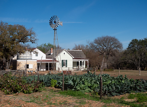 The farm house, garden, water tank, and windmill at the Sauer-Beckmann Living History Farm at the Lyndon B. Johnson State Park near Stonewall, Texas.