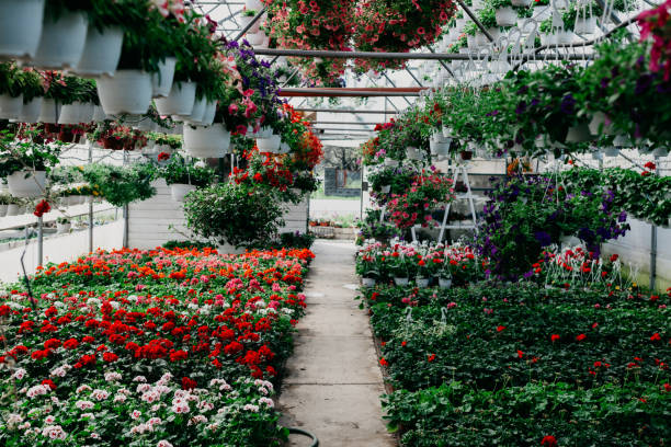 istock Fulfill garden center 1384723440