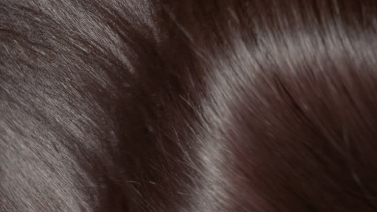 100+ Free Hair & Woman Videos, HD & 4K Clips - Pixabay 100+ Free Hair & Woman Videos, HD & 4K Clips - Pixabay