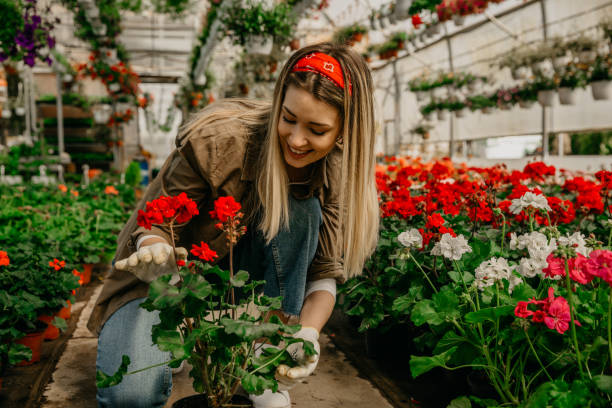 istock Smell, growth and loving my garden 1384730471