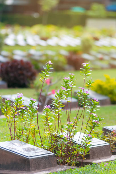 istock The Kanchanaburi War Cemetery 1384734158