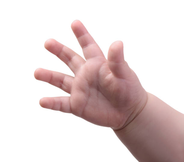 istock Small baby hand isolated 1384747867